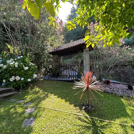 Casa De Casarelhos - Andar Da Moradia Com Terraco - Vistas Rio - 
